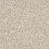 SHAW FLOORS RETAIL: DEVON CLASSIC I - Image 10