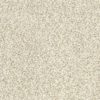 SHAW FLOORS RETAIL: DEVON CLASSIC I - Image 3