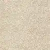 SHAW FLOORS RETAIL: DEVON CLASSIC I - Image 9