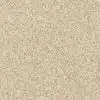 SHAW FLOORS RETAIL: DEVON CLASSIC I - Image 5