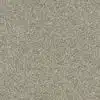 SHAW FLOORS RETAIL: DEVON CLASSIC I - Image 6