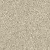 SHAW FLOORS RETAIL: DEVON CLASSIC I - Image 11