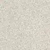 SHAW FLOORS RETAIL: DEVON CLASSIC I - Image 2