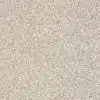SHAW FLOORS RETAIL: DEVON CLASSIC I - Image 7