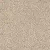 SHAW FLOORS RETAIL: DEVON CLASSIC I - Image 12
