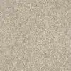 SHAW FLOORS RETAIL: DEVON CLASSIC I